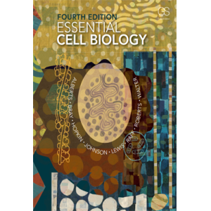 Alberts Essential Cell Biology 4e